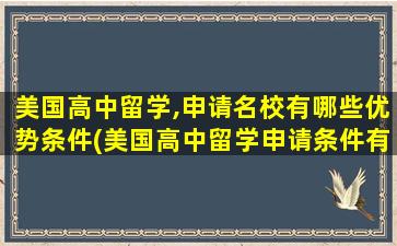 美国高中留学,申请名校有哪些优势条件(美国高中留学申请条件有哪些)