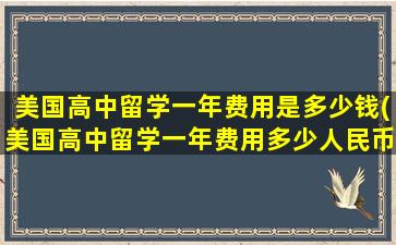 美国高中留学一年费用是多少钱(美国高中留学一年费用多少人民币)