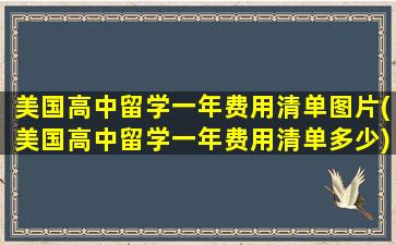 美国高中留学一年费用清单图片(美国高中留学一年费用清单多少)