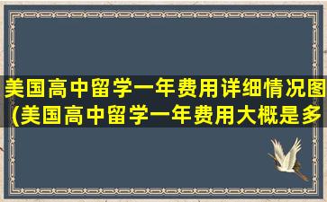 美国高中留学一年费用详细情况图(美国高中留学一年费用大概是多少)