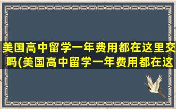 美国高中留学一年费用都在这里交吗(美国高中留学一年费用都在这里怎么办)