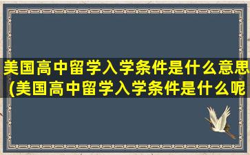 美国高中留学入学条件是什么意思(美国高中留学入学条件是什么呢)