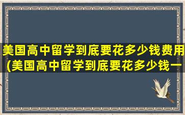 美国高中留学到底要花多少钱费用(美国高中留学到底要花多少钱一年)