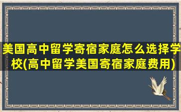 美国高中留学寄宿家庭怎么选择学校(高中留学美国寄宿家庭费用)