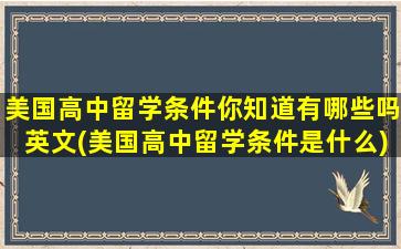 美国高中留学条件你知道有哪些吗英文(美国高中留学条件是什么)