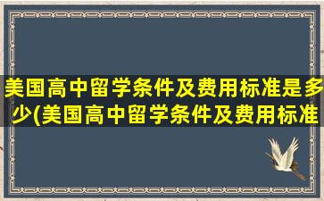 美国高中留学条件及费用标准是多少(美国高中留学条件及费用标准)