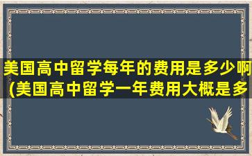 美国高中留学每年的费用是多少啊(美国高中留学一年费用大概是多少)