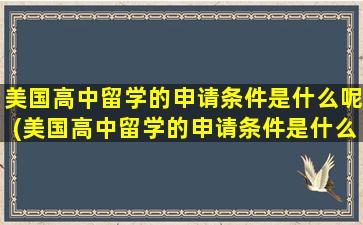 美国高中留学的申请条件是什么呢(美国高中留学的申请条件是什么意思)