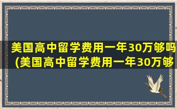 美国高中留学费用一年30万够吗(美国高中留学费用一年30万够吗多少钱)