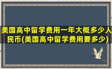 美国高中留学费用一年大概多少人民币(美国高中留学费用要多少)