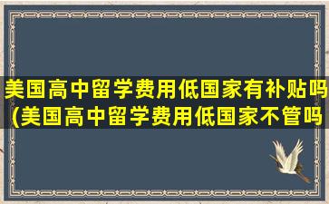 美国高中留学费用低国家有补贴吗(美国高中留学费用低国家不管吗)