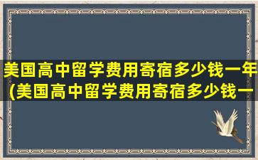 美国高中留学费用寄宿多少钱一年(美国高中留学费用寄宿多少钱一个月)