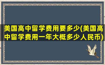 美国高中留学费用要多少(美国高中留学费用一年大概多少人民币)