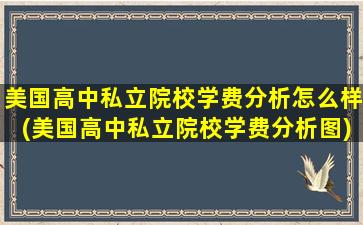 美国高中私立院校学费分析怎么样(美国高中私立院校学费分析图)