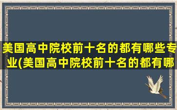 美国高中院校前十名的都有哪些专业(美国高中院校前十名的都有哪些呢)