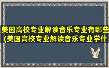 美国高校专业解读音乐专业有哪些(美国高校专业解读音乐专业学什么)