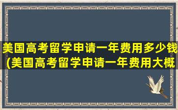 美国高考留学申请一年费用多少钱(美国高考留学申请一年费用大概多少)