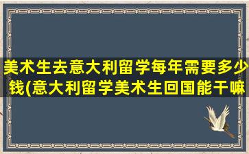 美术生去意大利留学每年需要多少钱(意大利留学美术生回国能干嘛)