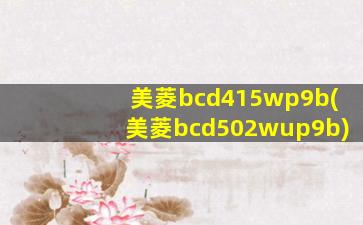 美菱bcd415wp9b(美菱bcd502wup9b)