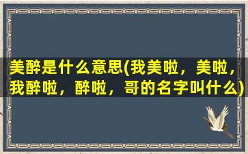 美醉是什么意思(我美啦，美啦，我醉啦，醉啦，哥的名字叫什么)