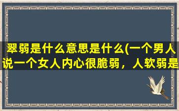 翠弱是什么意思是什么(一个男人说一个女人内心很脆弱，人软弱是什么意思)