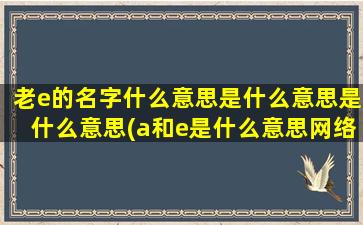 老e的名字什么意思是什么意思是什么意思(a和e是什么意思网络用语)