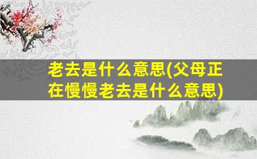 老去是什么意思(父母正在慢慢老去是什么意思)