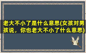 老大不小了是什么意思(女孩对男孩说，你也老大不小了什么意思)