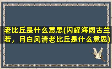 老比丘是什么意思(闪耀海阔古兰若，月白风清老比丘是什么意思)