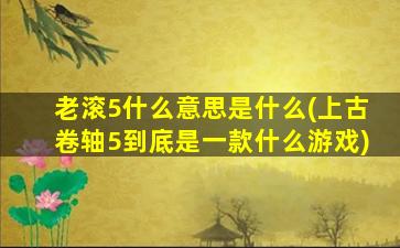 老滚5什么意思是什么(上古卷轴5到底是一款什么游戏)