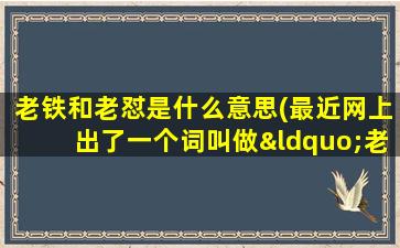 老铁和老怼是什么意思(最近网上出了一个词叫做“老铁”具体是什么意思)