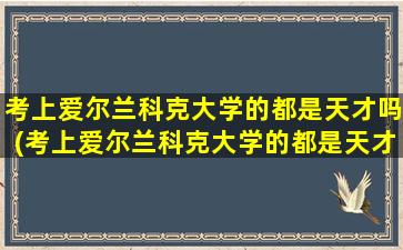 考上爱尔兰科克大学的都是天才吗(考上爱尔兰科克大学的都是天才吗英语)