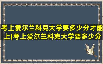 考上爱尔兰科克大学要多少分才能上(考上爱尔兰科克大学要多少分数)