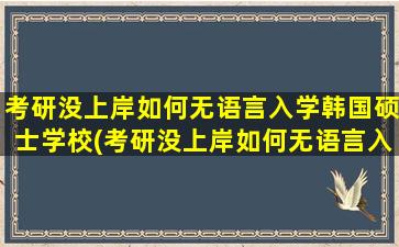 考研没上岸如何无语言入学韩国硕士学校(考研没上岸如何无语言入学韩国硕士专业)