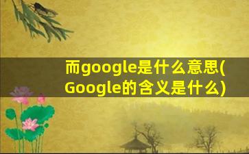 而google是什么意思(Google的含义是什么)