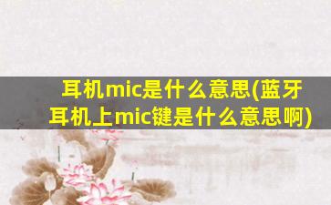 耳机mic是什么意思(蓝牙耳机上mic键是什么意思啊)