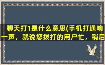 聊天打1是什么意思(手机打通响一声，就说您拨打的用户忙，稍后再拨，是怎么回事)