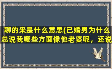 聊的来是什么意思(已婚男为什么总说我哪些方面像他老婆呢，还说难怪和我聊的来，他什么意思)