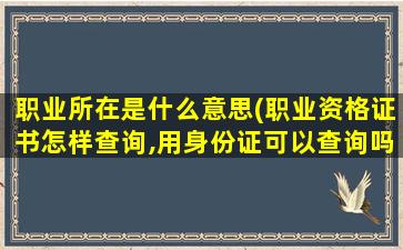 职业所在是什么意思(职业资格证书怎样查询,用身份证可以查询吗)