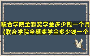 联合学院全额奖学金多少钱一个月(联合学院全额奖学金多少钱一个)