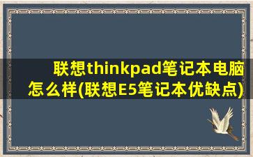 联想thinkpad笔记本电脑怎么样(联想E5笔记本优缺点)