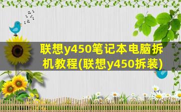 联想y450笔记本电脑拆机教程(联想y450拆装)