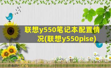 联想y550笔记本配置情况(联想y550pise)