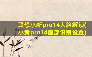 联想小新pro14人脸解锁(小新pro14面部识别设置)