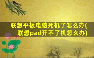 联想平板电脑死机了怎么办(联想pad开不了机怎么办)