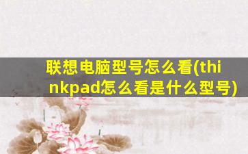 联想电脑型号怎么看(thinkpad怎么看是什么型号)