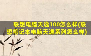 联想电脑天逸100怎么样(联想笔记本电脑天逸系列怎么样)