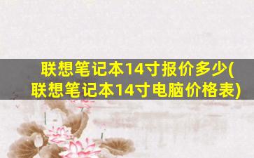 联想笔记本14寸报价多少(联想笔记本14寸电脑价格表)