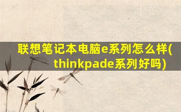 联想笔记本电脑e系列怎么样(thinkpade系列好吗)