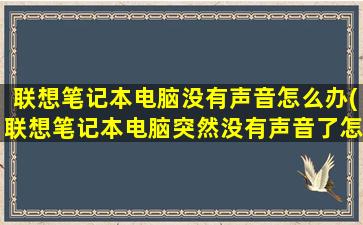 联想笔记本电脑没有声音怎么办(联想笔记本电脑突然没有声音了怎么办)